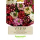 SEMI PER PRATO UNIVERSALE verbena grandiflora (PZ 10)