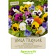 SEMI PER PRATO UNIVERSALE viola tricolor miscuglio (PZ 20)