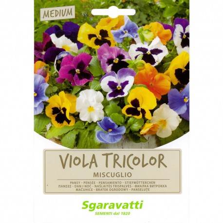 SEMI PER PRATO UNIVERSALE viola tricolor miscuglio (PZ 20)