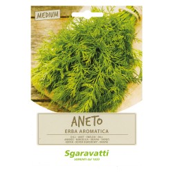 SEMI PER ORTAGGI E VEGETALI aneto (PZ 20)