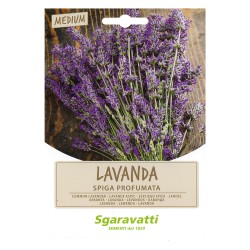 SEMI PER ORTAGGI E VEGETALI lavanda spiga (PZ 20)