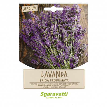 SEMI PER ORTAGGI E VEGETALI lavanda spiga (PZ 20)