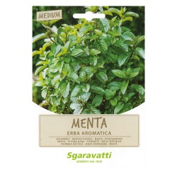 SEMI PER ORTAGGI E VEGETALI menta spicata (PZ 20)
