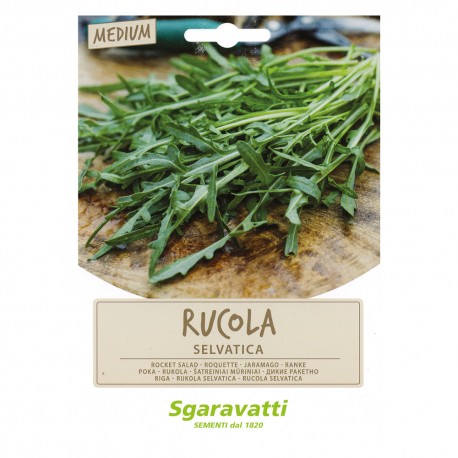 SEMI PER ORTAGGI E VEGETALI rucola selvatica (PZ 10)