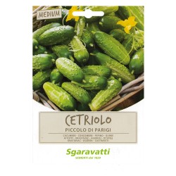SEMI PER ORTAGGI E VEGETALI cetriolo piccolo verde di Parigi (PZ 20)