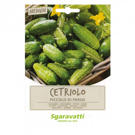 SEMI PER ORTAGGI E VEGETALI cetriolo piccolo verde di Parigi (PZ 20)