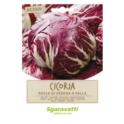SEMI PER ORTAGGI E VEGETALI cicoria rossa di verona a palla (PZ 20)