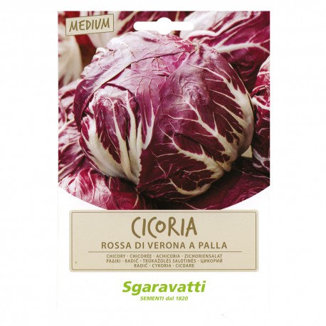 SEMI PER ORTAGGI E VEGETALI cicoria rossa di verona a palla (PZ 20)