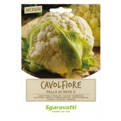 SEMI PER ORTAGGI E VEGETALI cavolfiore palla di neve X (PZ 20)