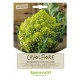 SEMI PER ORTAGGI E VEGETALI cavolfiore romanesco natalino (PZ 20)