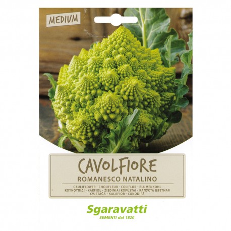 SEMI PER ORTAGGI E VEGETALI cavolfiore romanesco natalino (PZ 20)