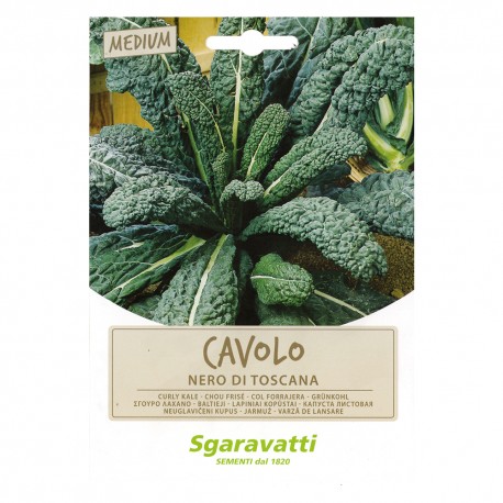 SEMI PER ORTAGGI E VEGETALI cavolo nero di Toscana (PZ 20)