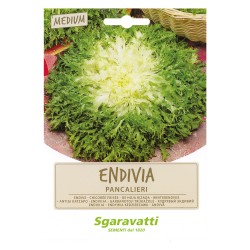 SEMI PER ORTAGGI E VEGETALI endivia riccia Pancalieri (PZ 20)