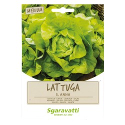 SEMI PER ORTAGGI E VEGETALI lattuga S. Anna (PZ 20)