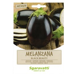 SEMI PER ORTAGGI E VEGETALI melanzana black beauty (PZ 20)