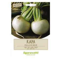 SEMI PER ORTAGGI E VEGETALI rapa palla di neve (PZ 20)