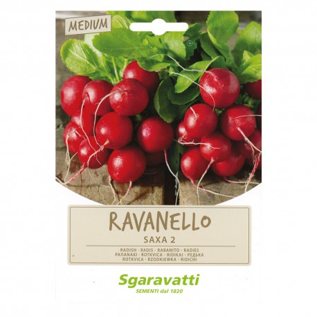 SEMI PER ORTAGGI E VEGETALI ravanello saxa 2 (PZ 20)