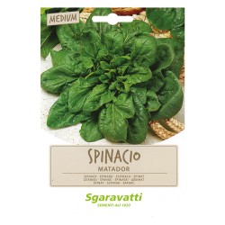 SEMI PER ORTAGGI E VEGETALI spinacio matador (PZ 10)