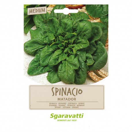 SEMI PER ORTAGGI E VEGETALI spinacio matador (PZ 10)