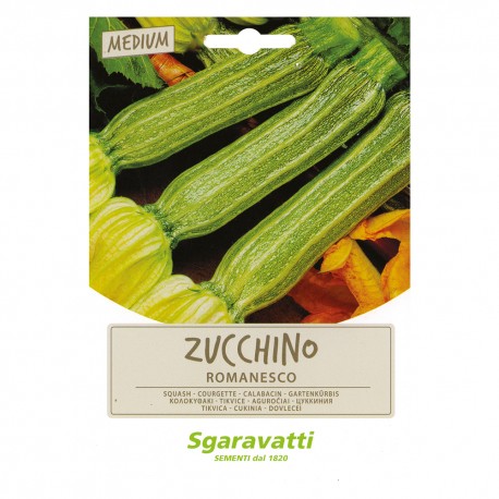 SEMI PER ORTAGGI E VEGETALI zucchino romanesco (PZ 20)