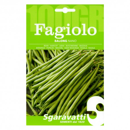 SEMI PER FAGIOLI fagiolo nano balong - gr 250 (PZ 1)