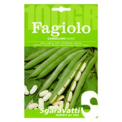 SEMI PER FAGIOLI fagiolo nano cannellino - gr 100 (PZ 5)