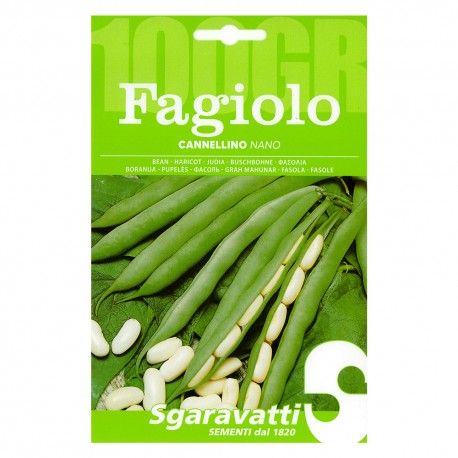 SEMI PER FAGIOLI fagiolo nano cannellino - gr 100 (PZ 5)