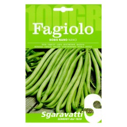 SEMI PER FAGIOLI fagiolo bobis bianco - gr 100 (PZ 5)