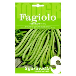 SEMI PER FAGIOLI fagiolo bobis bianco - gr 250 (PZ 1)