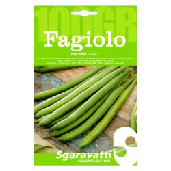 SEMI PER FAGIOLI fagiolo nano bolero - gr 100 (PZ 5)