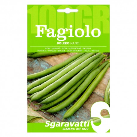 SEMI PER FAGIOLI fagiolo nano bolero - gr 250 (PZ 1)