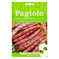 SEMI PER FAGIOLI fagiolo borlotto rampicante lingua di fuoco 3 - gr 250 (PZ 1)