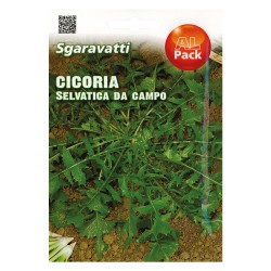 SEMI PER ORTAGGI E VEGETALI cicoria selvatica da campo (PZ 10)