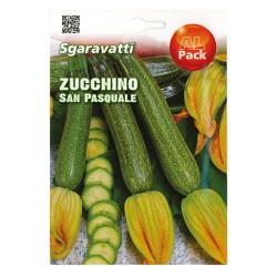SEMI PER ORTAGGI E VEGETALI zucchino S.Pasquale (PZ 10)