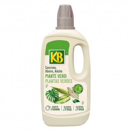 CONCIME LIQUIDO 'PIANTE VERDI' LT 1 (PZ 1)