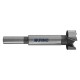 FRESA PER LEGNO TIPO 'FORSTNER' Ã˜ 25 mm. - gambo 8 mm. (PZ 1)