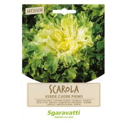SEMI PER ORTAGGI E VEGETALI scarola verde cuore pieno (PZ 20)