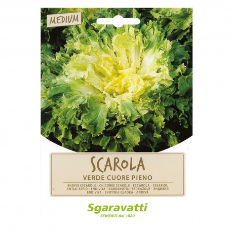 SEMI PER ORTAGGI E VEGETALI scarola verde cuore pieno (PZ 20)