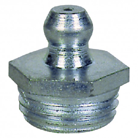 INGRASSATORE TIPO HYDRAULIC 10 x 1 (PZ 6)