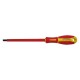 CACCIAVITE A TAGLIO 2,5 x 80 (PZ 1)