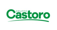 Gruppo CASTORO